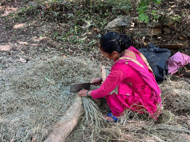 Chopping Grass